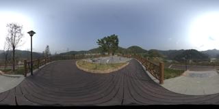 pano (13)